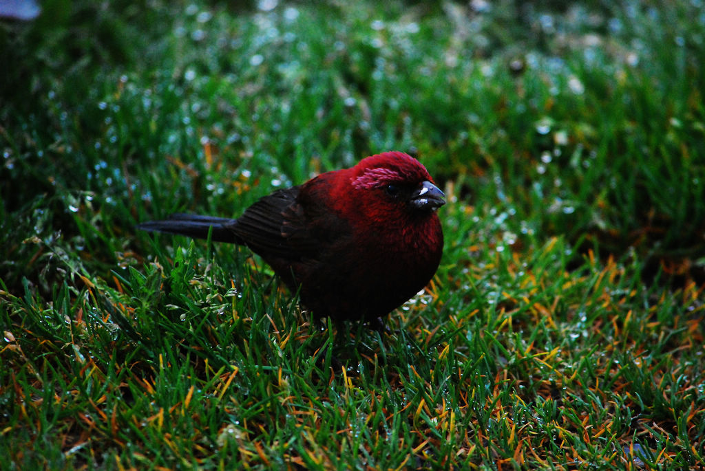 http://i.dcview.tw/gallery/201206/0a06c1a0921d7e586bf9916887657f5f.jpg