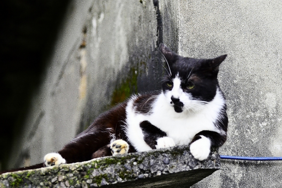 http://i.dcview.tw/gallery/201206/143fa7738bc62d622b1f090b7af191a5.jpg