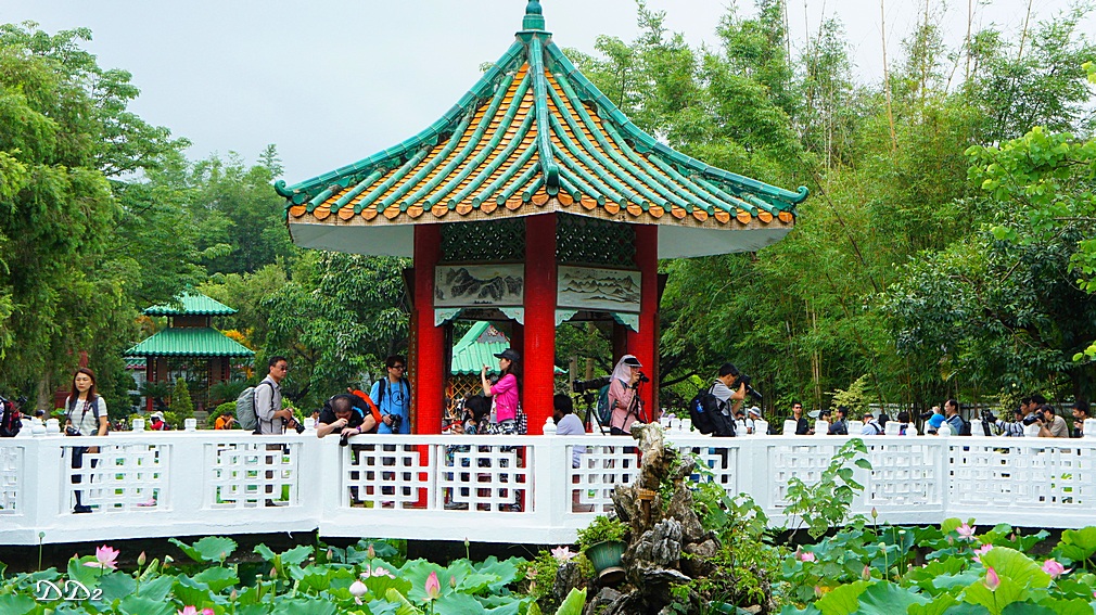 http://i.dcview.tw/gallery/201206/1f8c2130911cced38c6b6d0ae2870a11.jpg