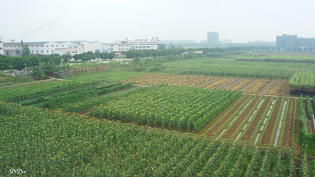 http://i.dcview.tw/gallery/201206/27401e8a787bee420020c2ce7746f30f.jpg
