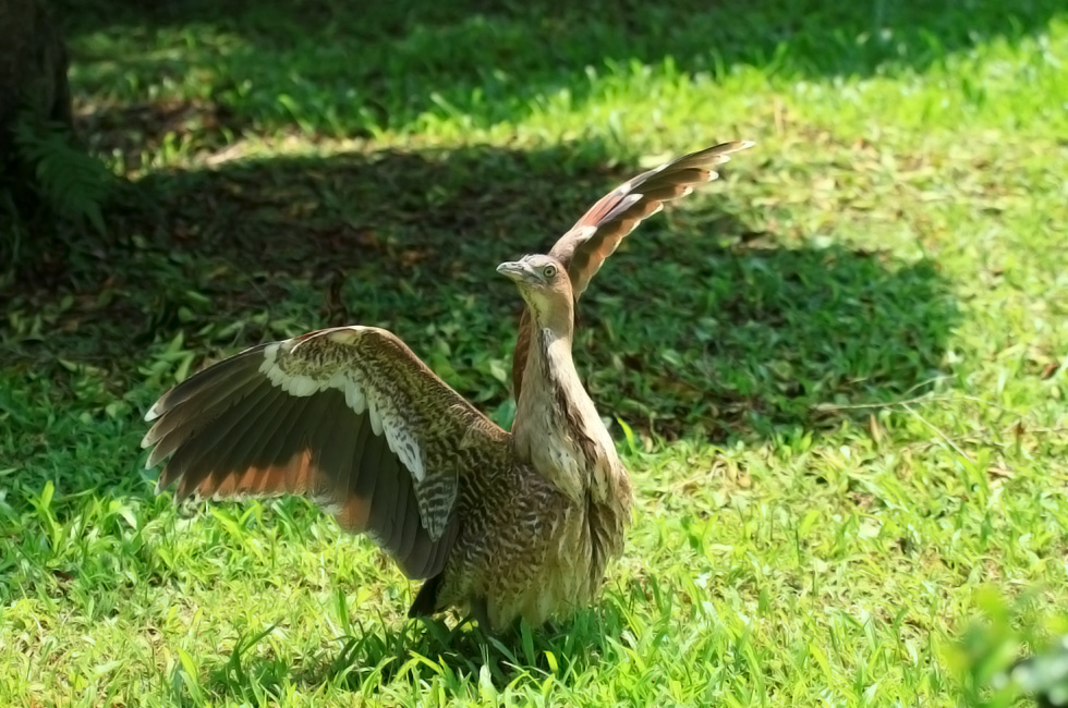 http://i.dcview.tw/gallery/201206/32a96a09b8904e2b5544147bf81d76c2.jpg