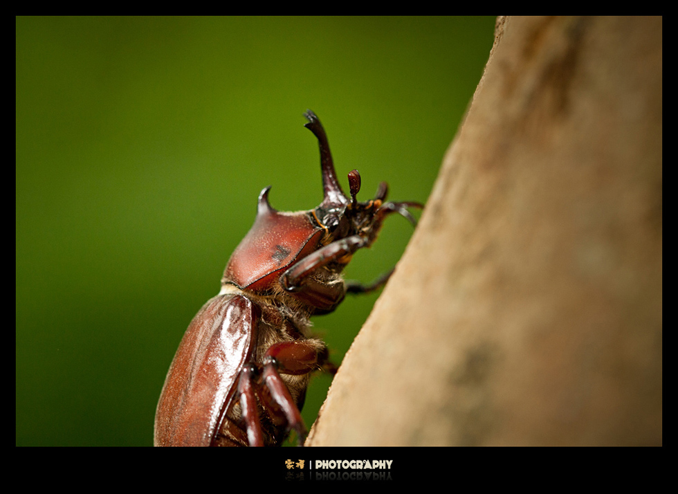 http://i.dcview.tw/gallery/201206/353ef81d5ac70b718e79dbcd6b11b146.jpg