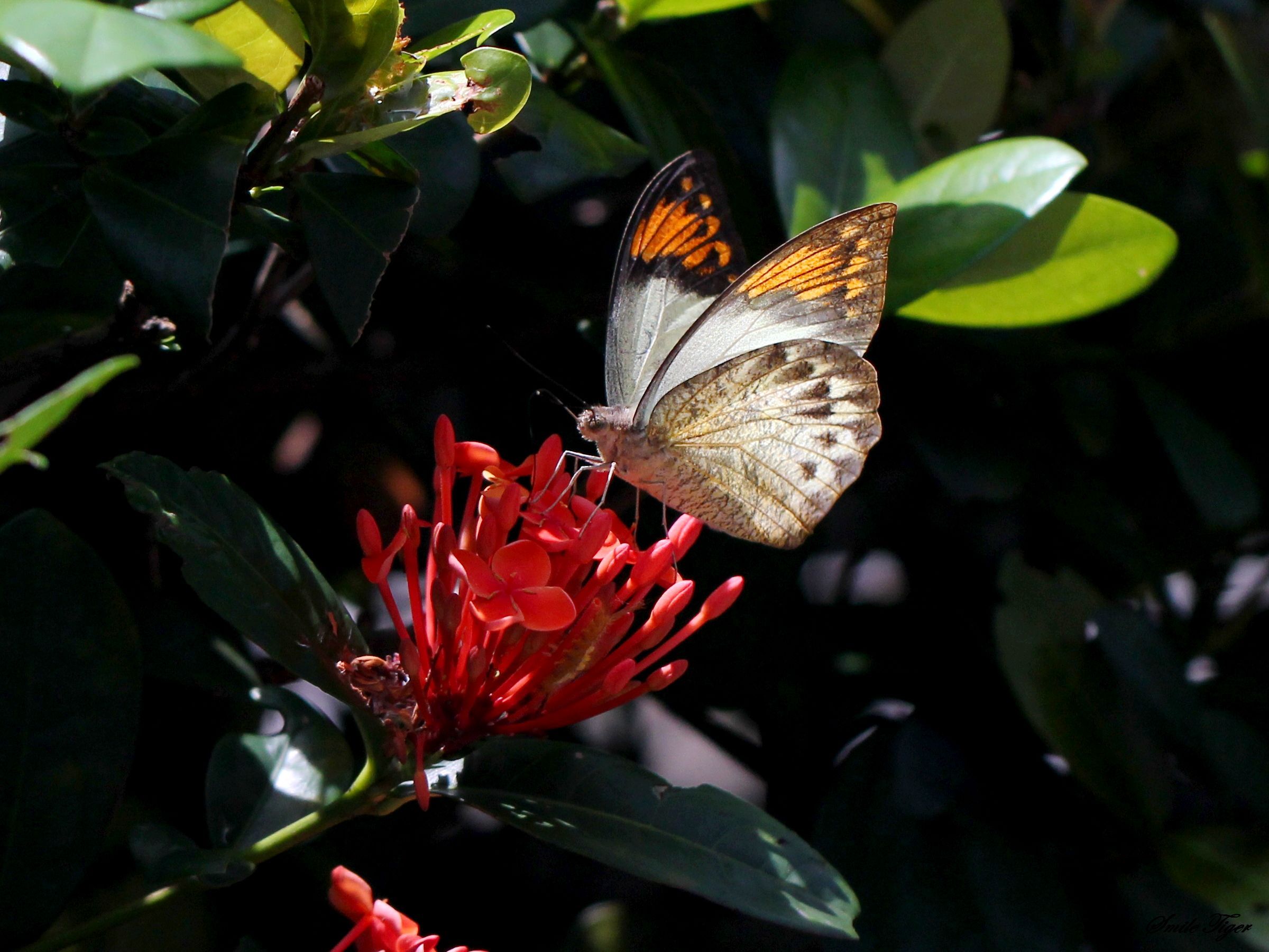 http://i.dcview.tw/gallery/201206/3541dd754ebc5c56d41542d981193865.jpg
