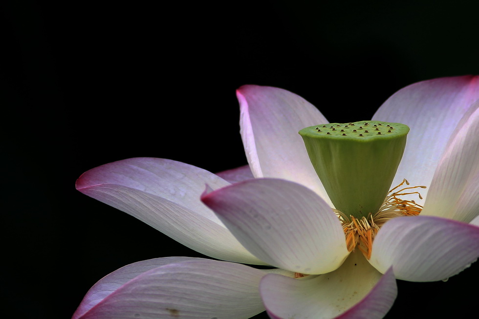 http://i.dcview.tw/gallery/201206/3878e5d91d27b499917d3fa9079ebab6.jpg