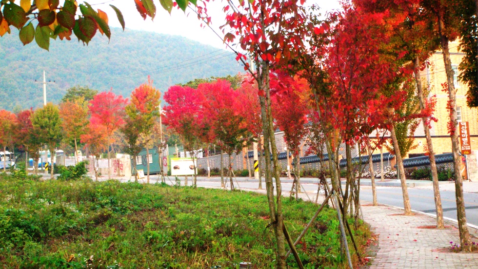 http://i.dcview.tw/gallery/201206/396a3718910554c766f72f19f471bb31.jpg