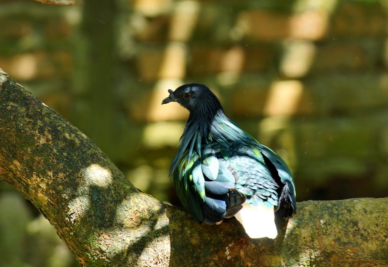 http://i.dcview.tw/gallery/201206/39b573e8b38ac551d9d89e3a356f7268.jpg