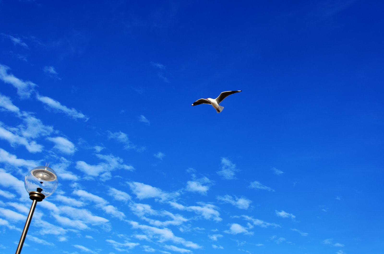 http://i.dcview.tw/gallery/201206/3a108cfb9c7d3eea61411f310ec71ac3.jpg
