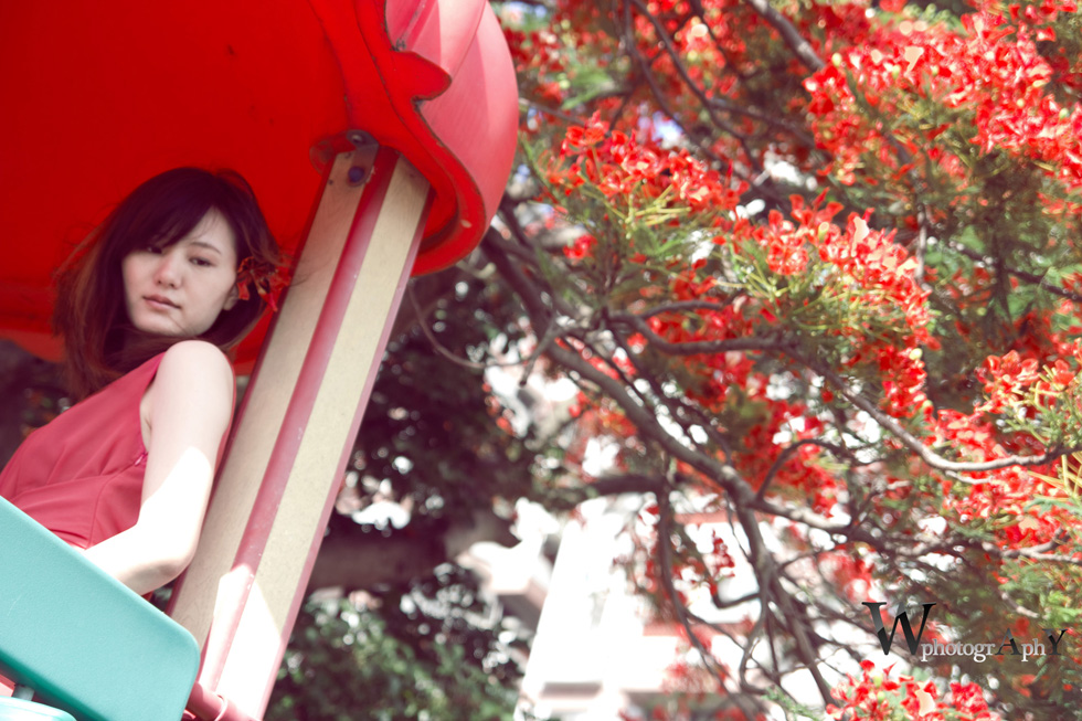 http://i.dcview.tw/gallery/201206/3accb1680297d868bdf58ca047e77a8c.jpg