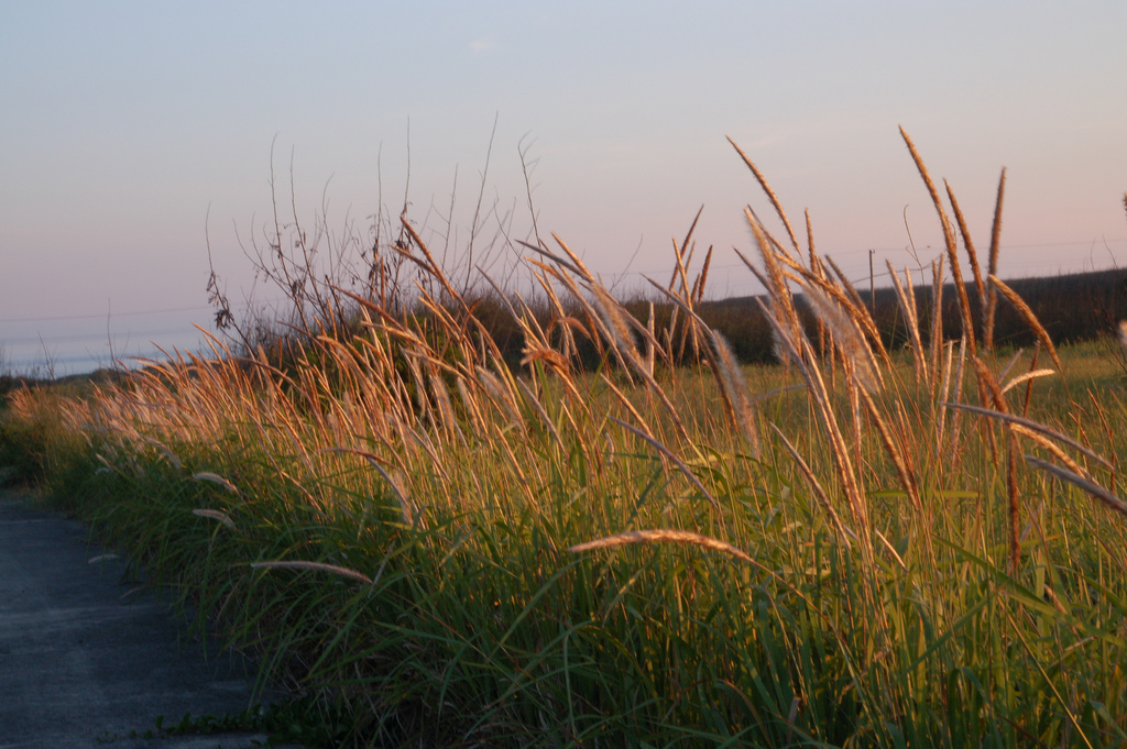 http://i.dcview.tw/gallery/201206/3baea9e5bfc390c1d3a11cde68f65736.jpg