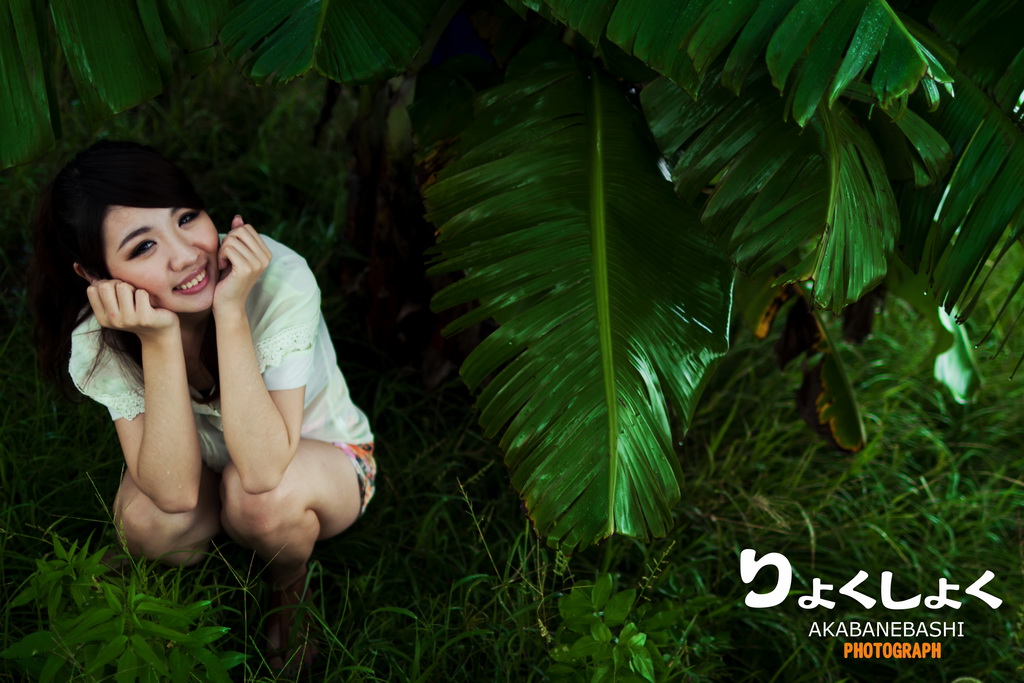 http://i.dcview.tw/gallery/201206/3d4d749f3b3a2f068dac60ca3928923e.jpg