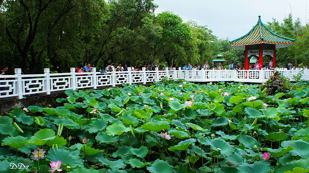 http://i.dcview.tw/gallery/201206/425f84a351b0f9f28cf0a1730b1344b9.jpg