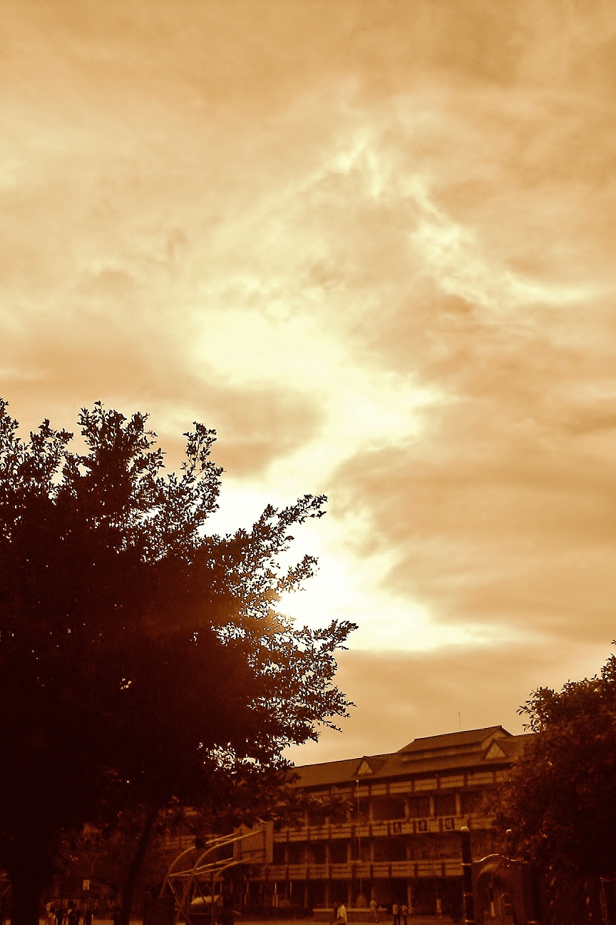 http://i.dcview.tw/gallery/201206/42aad6fa52381e8305cbb22fe13ab98a.jpg