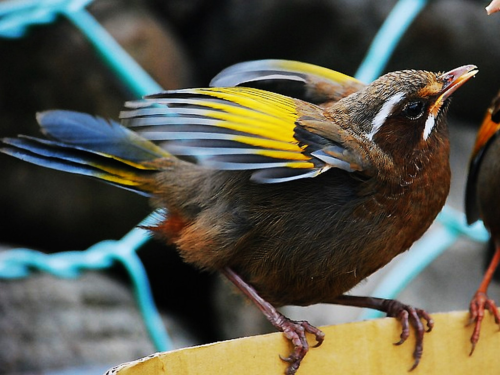 http://i.dcview.tw/gallery/201206/47b3c1af2851bbd05efdff393da499e1.jpg