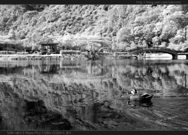 http://i.dcview.tw/gallery/201206/47c8d0f7e407a053992593af1282080f.jpg
