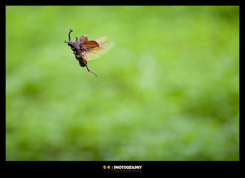 http://i.dcview.tw/gallery/201206/4be3d7d4a989e1ddaf556b71b261f594.jpg