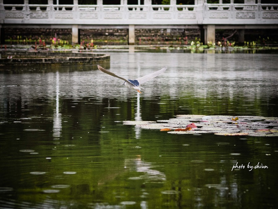 http://i.dcview.tw/gallery/201206/4f080794ee1239dcacff510829333dd3.jpg