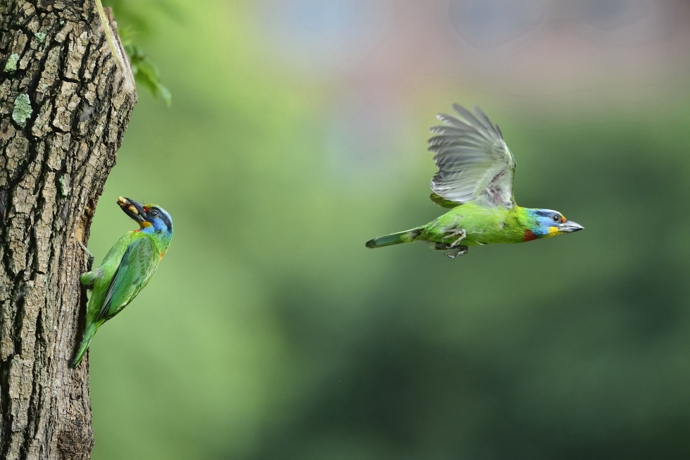 http://i.dcview.tw/gallery/201206/506d026aa959067d5396ff5acb82cfad.jpg