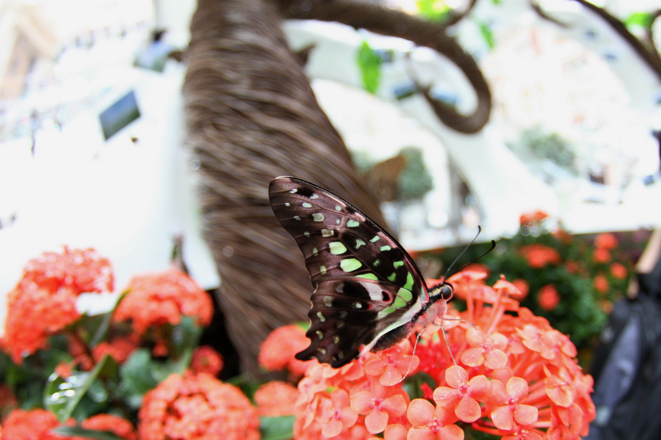 http://i.dcview.tw/gallery/201206/532e8b10d2847fca7ea30458868dea2b.jpg