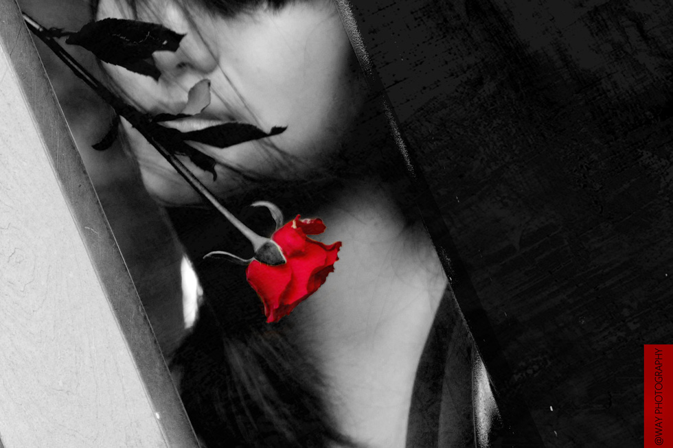 http://i.dcview.tw/gallery/201206/64b43cd55d9af0b76c62fea49c6eca1a.jpg
