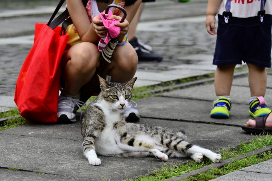 http://i.dcview.tw/gallery/201206/64b5d007731028389a9d8f3582dcc02e.jpg
