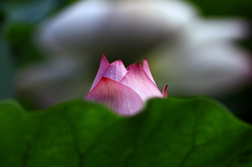 http://i.dcview.tw/gallery/201206/67ba3ae88a9af9d80e98f25fff816c9d.jpg