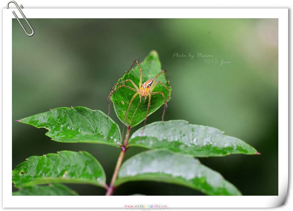 http://i.dcview.tw/gallery/201206/6cb361d45d96ce8a18beca35ea3ff917.jpg
