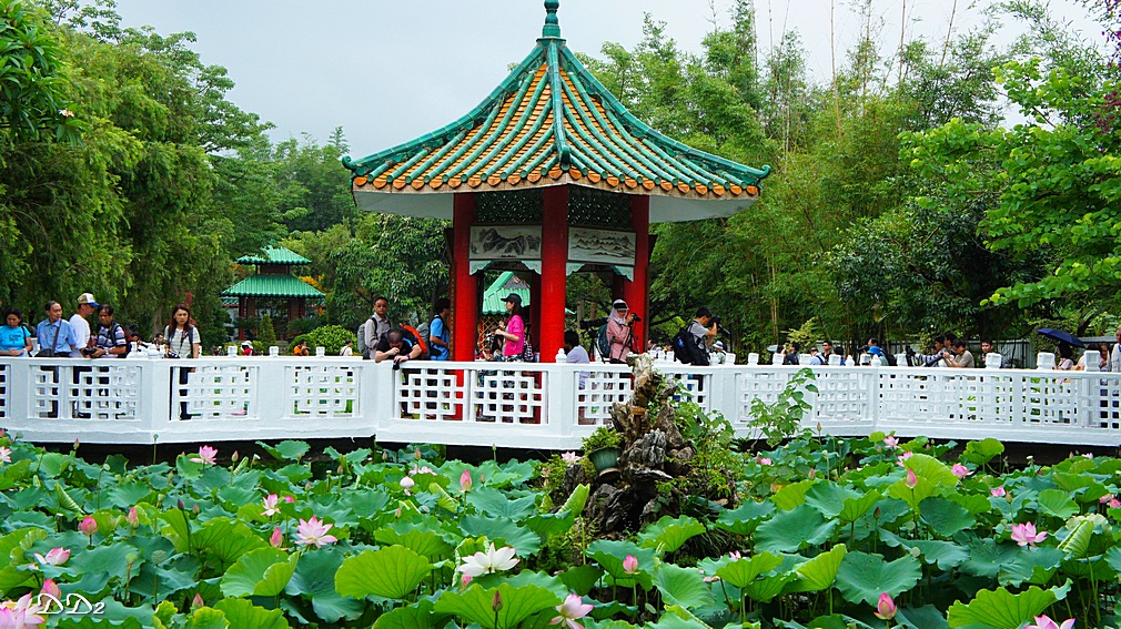 http://i.dcview.tw/gallery/201206/71c316ed6bc67ae033ae0f9ce7122fe6.jpg