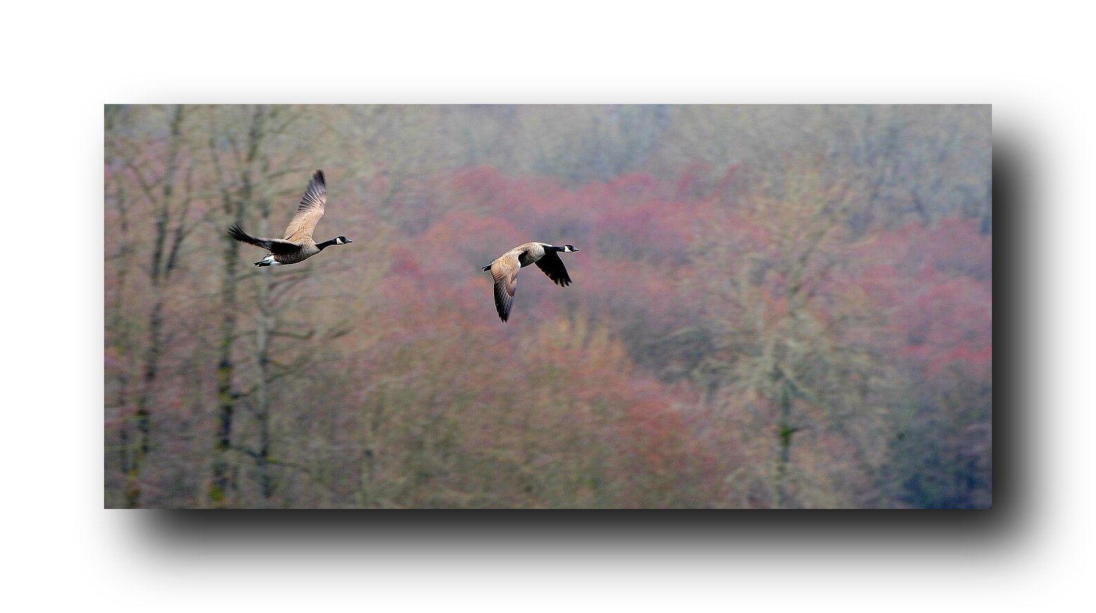 http://i.dcview.tw/gallery/201206/71f737b2746aa025f568267fae19bccf.jpg
