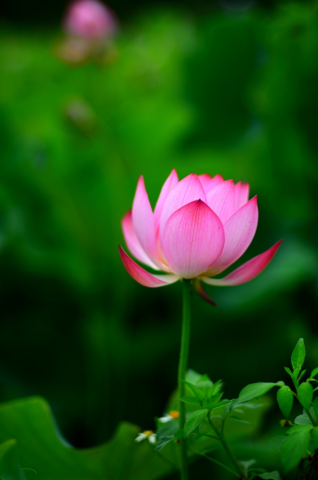 http://i.dcview.tw/gallery/201206/73253f3b7bfbbc8e2b9bdf716240b68c.jpg