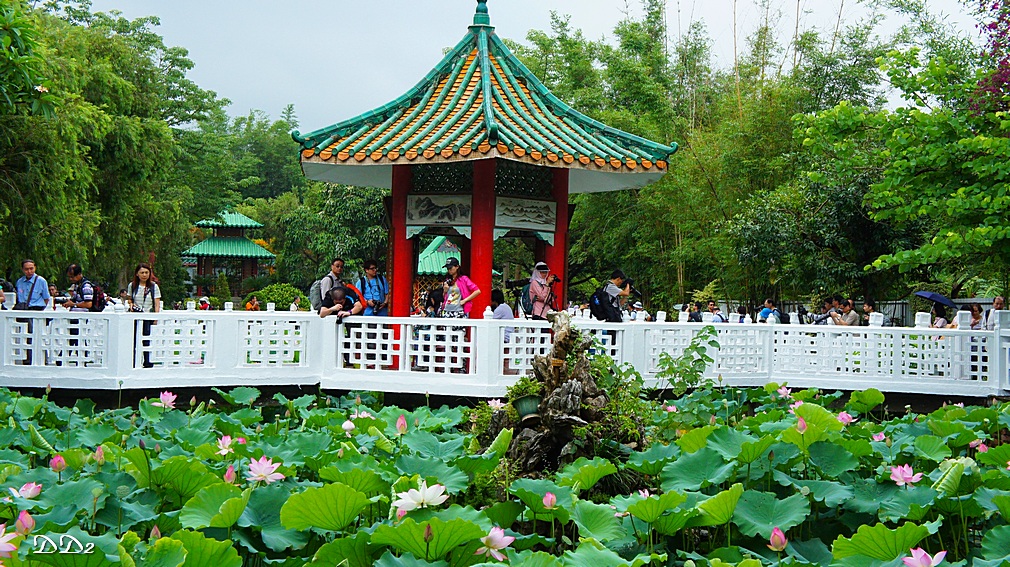 http://i.dcview.tw/gallery/201206/73e992a07fe88c7dc790fe336aa9c587.jpg
