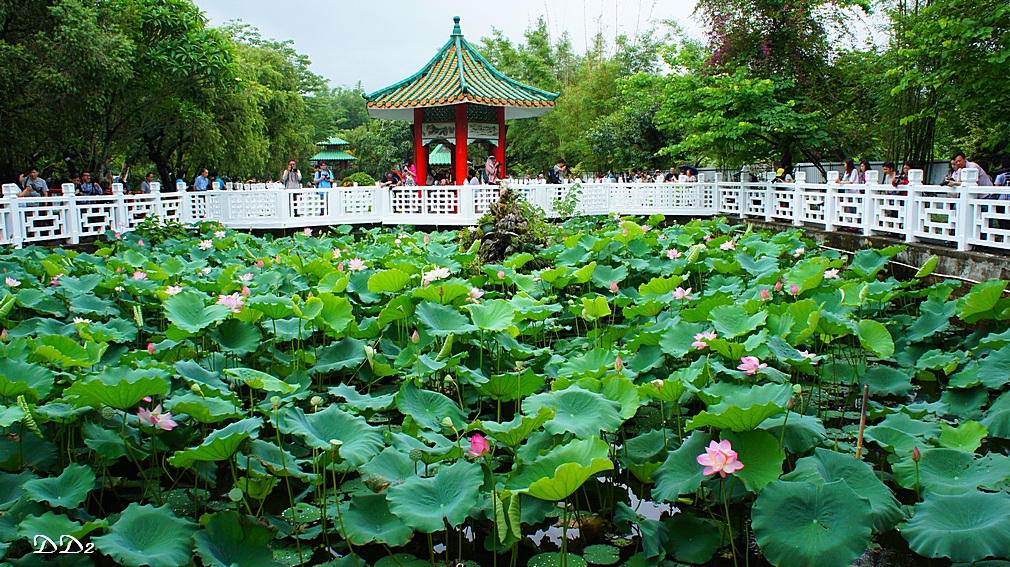 http://i.dcview.tw/gallery/201206/74f76aa0746e9266f43f1ce8d3e44514.jpg