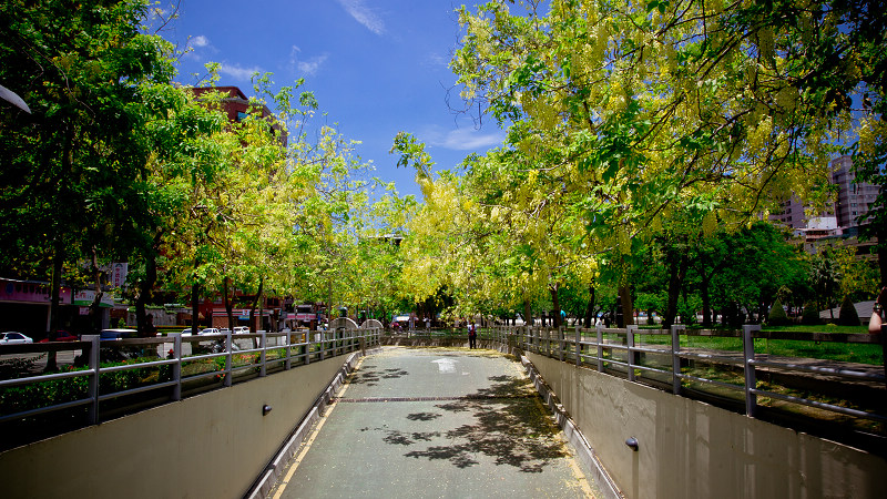 http://i.dcview.tw/gallery/201206/7524a0b103979e2d23012858f8526176.jpg