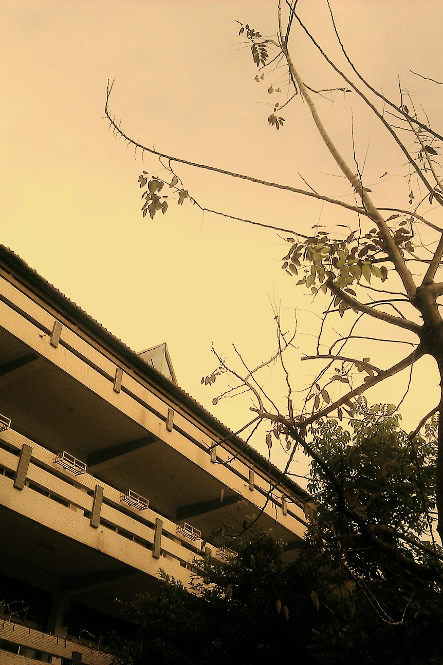 http://i.dcview.tw/gallery/201206/7a96a0fb7bec0ae9b6c281c151de6f54.jpg