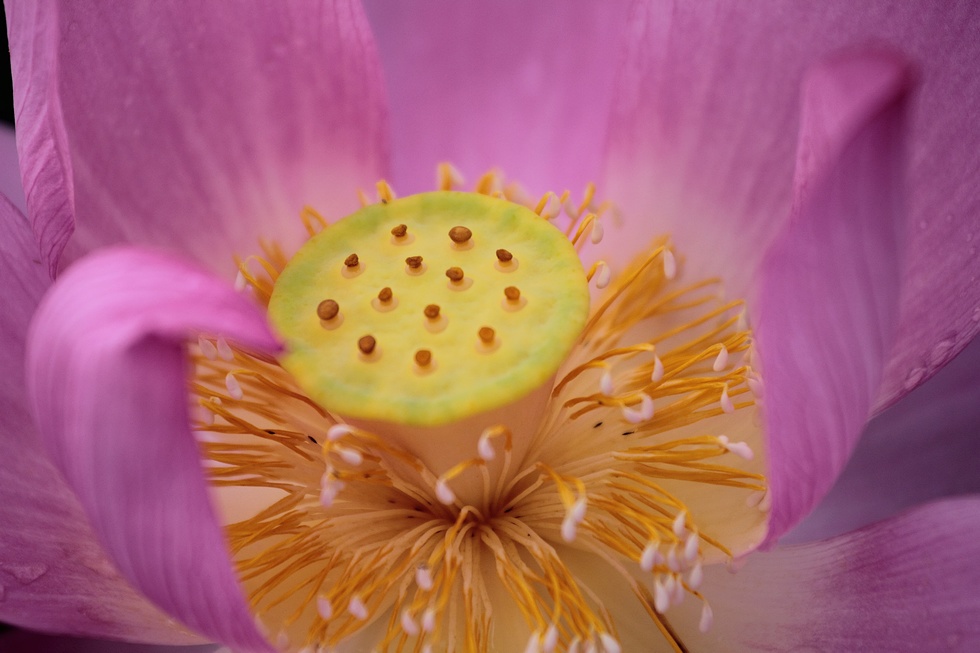 http://i.dcview.tw/gallery/201206/7cade3c1dc79f5e4b35bc89125042199.jpg