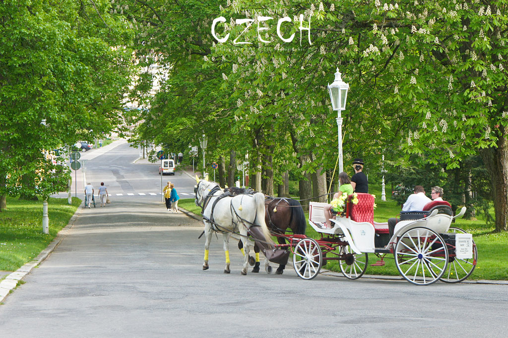 http://i.dcview.tw/gallery/201206/7f9e436d9ece257253b51f351304ed60.jpg