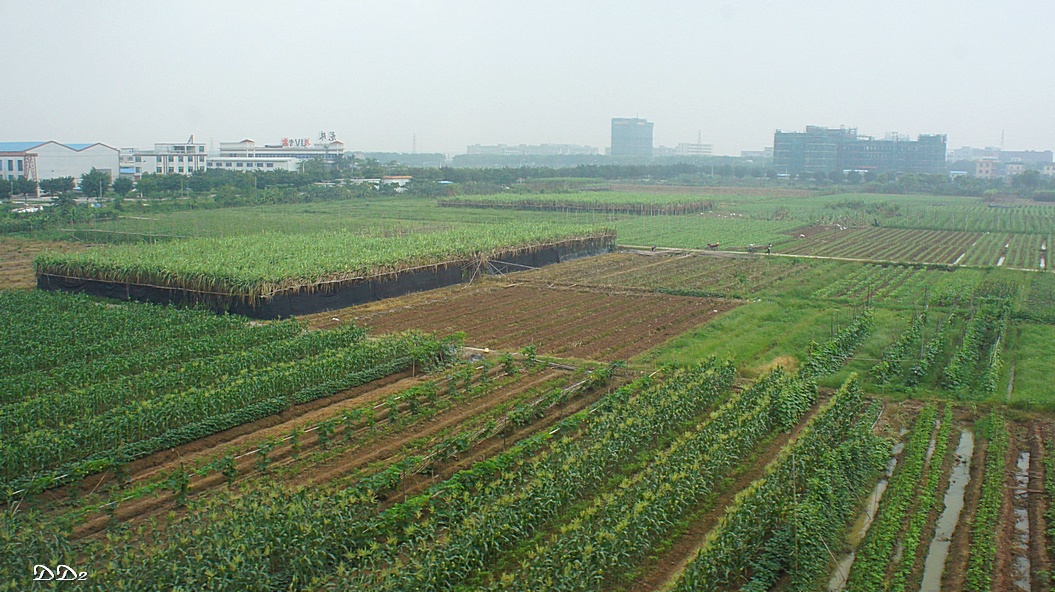 http://i.dcview.tw/gallery/201206/8005735deecb5ed7fdf7344182a683e1.jpg