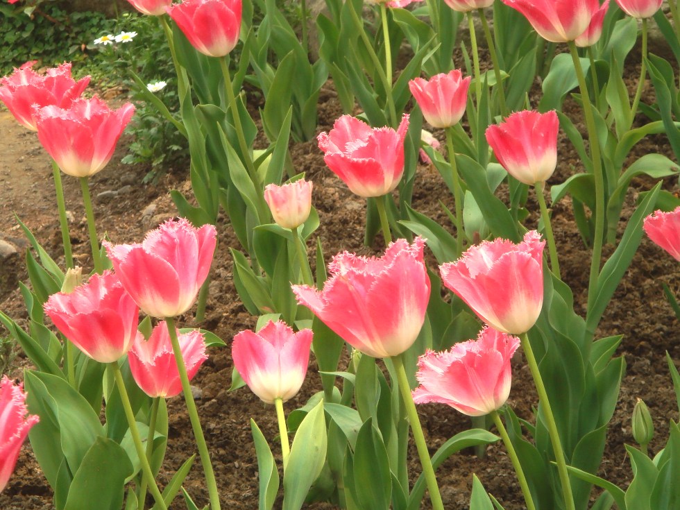 http://i.dcview.tw/gallery/201206/80a4bfb608744acd0f6c9b147674d056.jpg