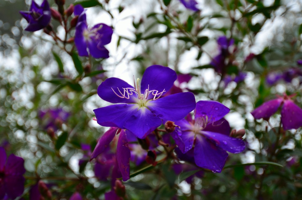 http://i.dcview.tw/gallery/201206/824b09ead597fd4a7526fb16aa362166.jpg