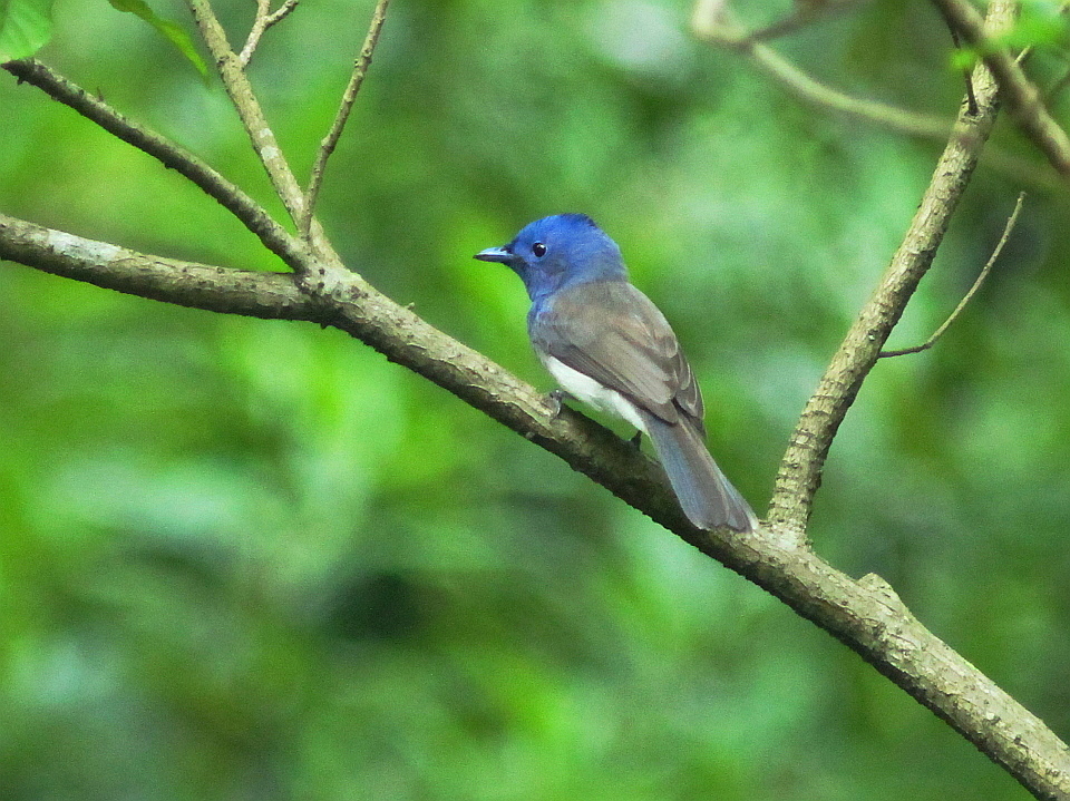 http://i.dcview.tw/gallery/201206/856688e8f1aca1e034957f62e37eda71.jpg