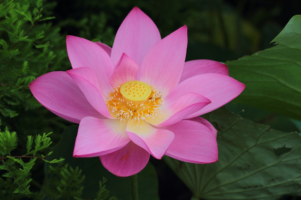 http://i.dcview.tw/gallery/201206/8a55404b7fa17d00c816f8b79b3ad63b.jpg