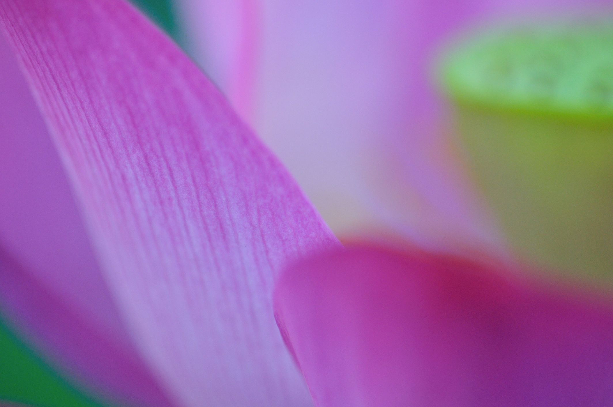 http://i.dcview.tw/gallery/201206/8abb12f4093308016e53a5fbd083dda8.jpg