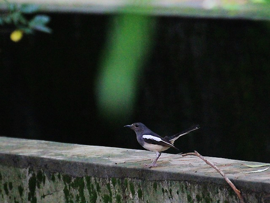 http://i.dcview.tw/gallery/201206/8f64d71ccee36bfad294d48b2d8096b6.jpg