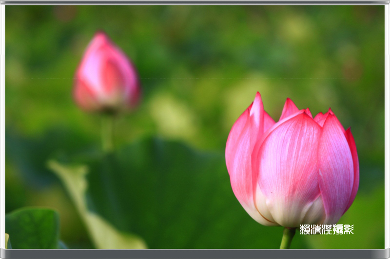 http://i.dcview.tw/gallery/201206/953d21bcb0bee600317209ff42abd181.jpg