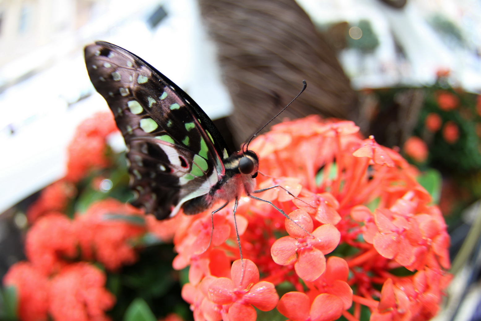 http://i.dcview.tw/gallery/201206/9a93f8085e12626941e8025973b9d1ad.jpg