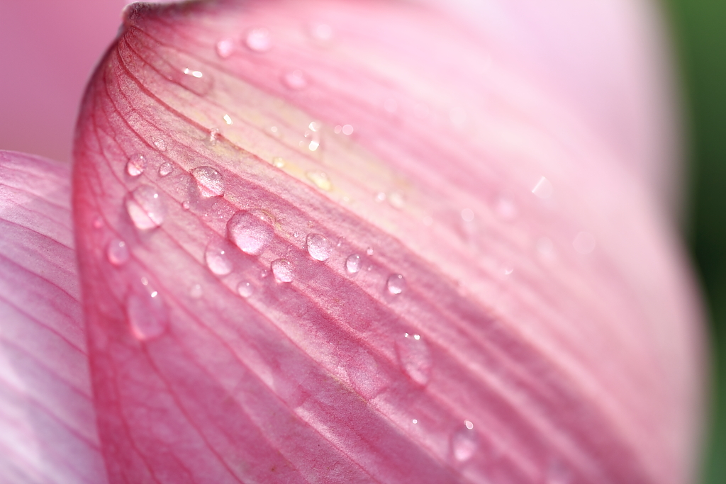 http://i.dcview.tw/gallery/201206/9b1c0e94850177343ece029a3d281019.jpg