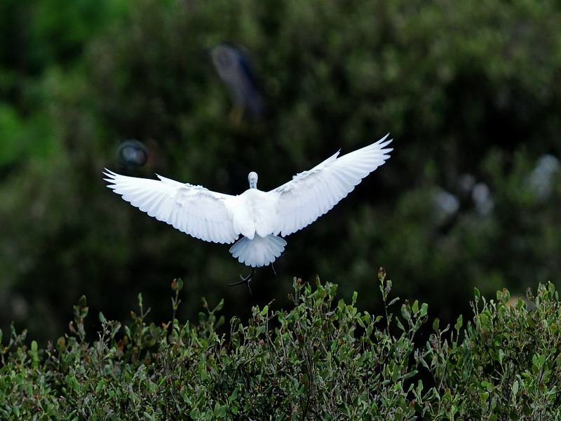http://i.dcview.tw/gallery/201206/9c4609e7429dfe019ef5ce879941bbbf.jpg