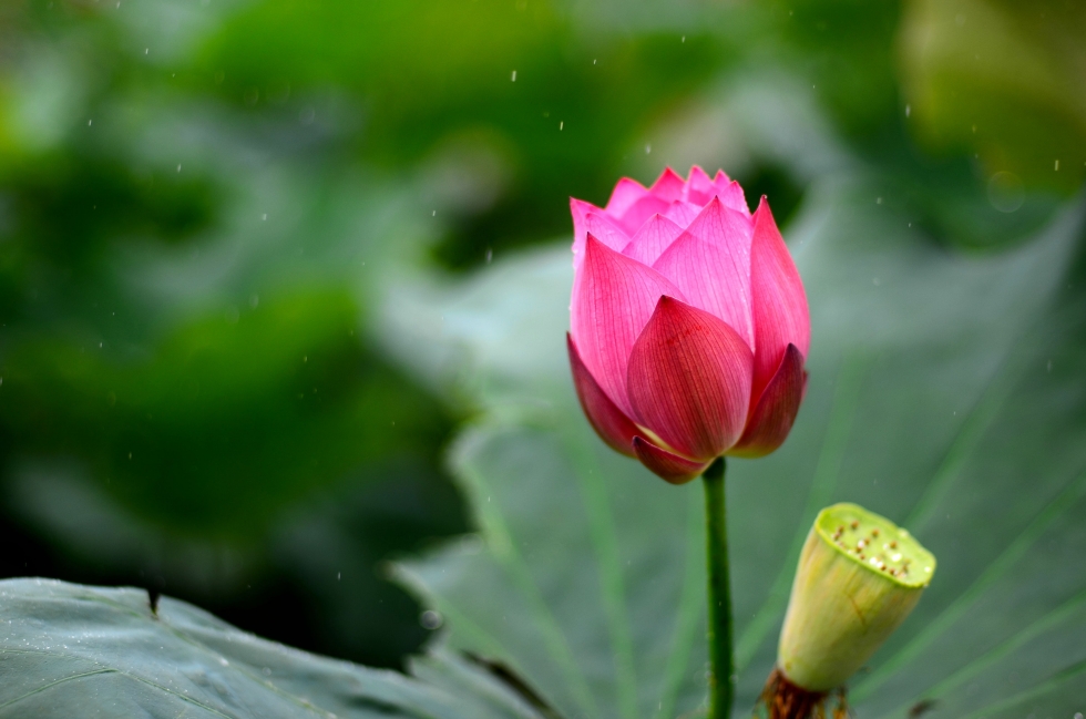http://i.dcview.tw/gallery/201206/9f04e93b6ab0ea924ae8a12a10a89e66.jpg