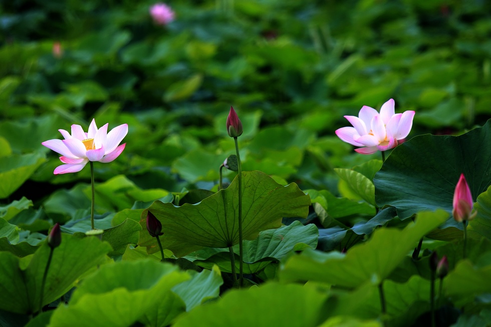http://i.dcview.tw/gallery/201206/a05279d0d15c1b1540d0e69faca4f9fb.jpg