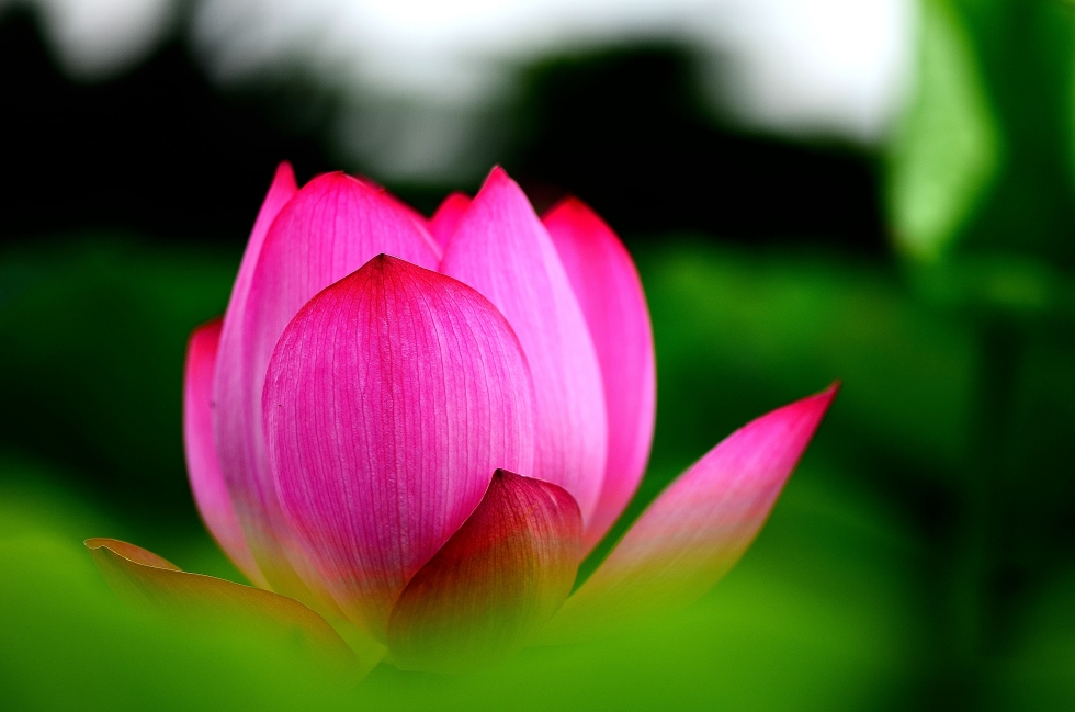 http://i.dcview.tw/gallery/201206/a432447b8984dd41f3063bf0123e44e4.jpg