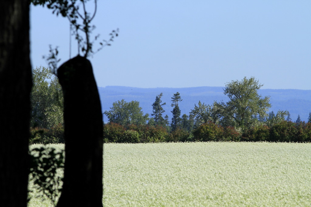 http://i.dcview.tw/gallery/201206/a6eb27e9753bc110f53b391ec85faaf3.jpg